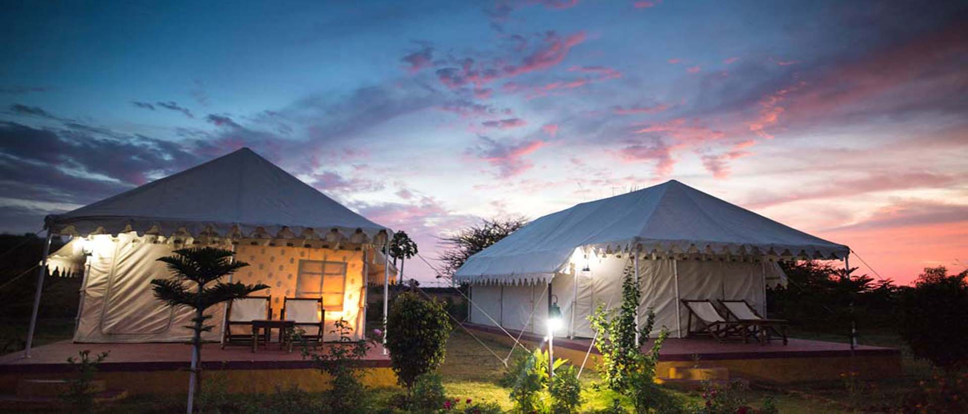 camp pushkar,desert camp,tent pushkar,fair accomodation,Budget pushkar,Camp Pushkar,camp in Pushkar,Best Camp in Pushkar,Swiss Camp in Pushkar