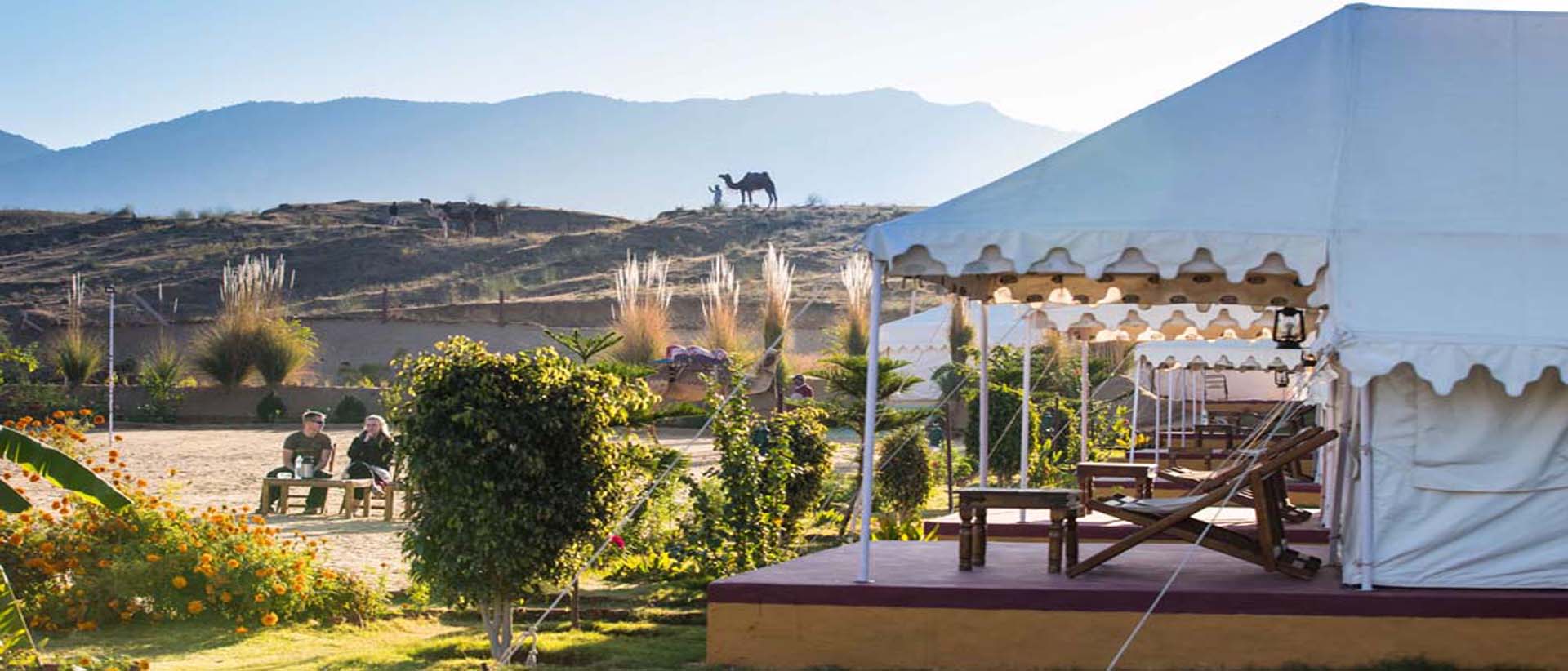 camp pushkar,desert camp,tent pushkar,fair accomodation,Budget pushkar,Camp Pushkar,camp in Pushkar,Best Camp in Pushkar,Swiss Camp in Pushkar