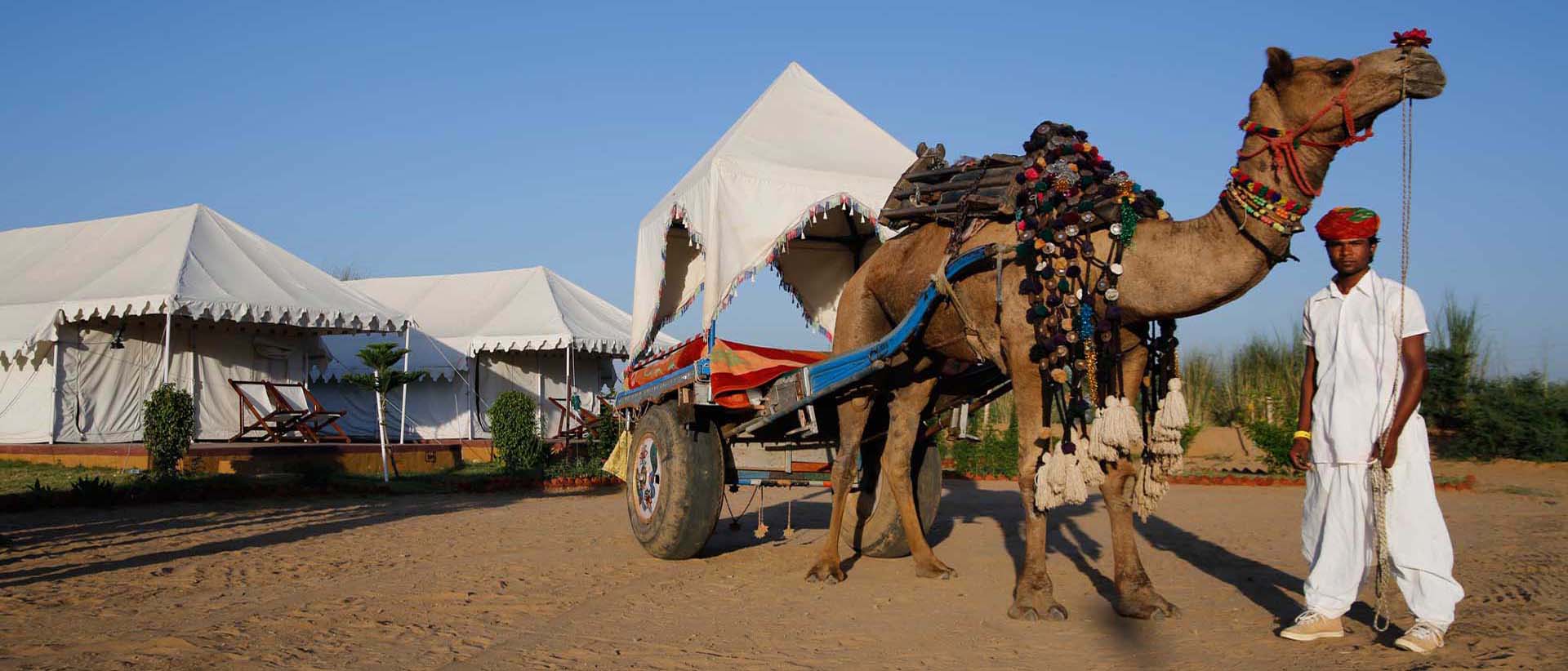 camp pushkar,desert camp,tent pushkar,fair accomodation, adventure pushkar safari, camel safari