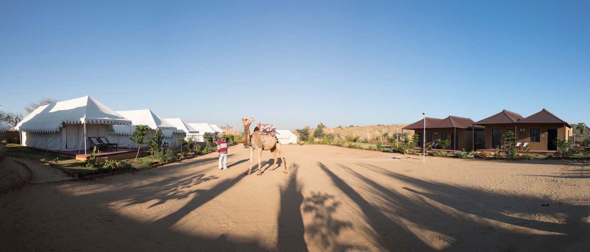 camp pushkar,desert camp,tent pushkar,fair accomodation