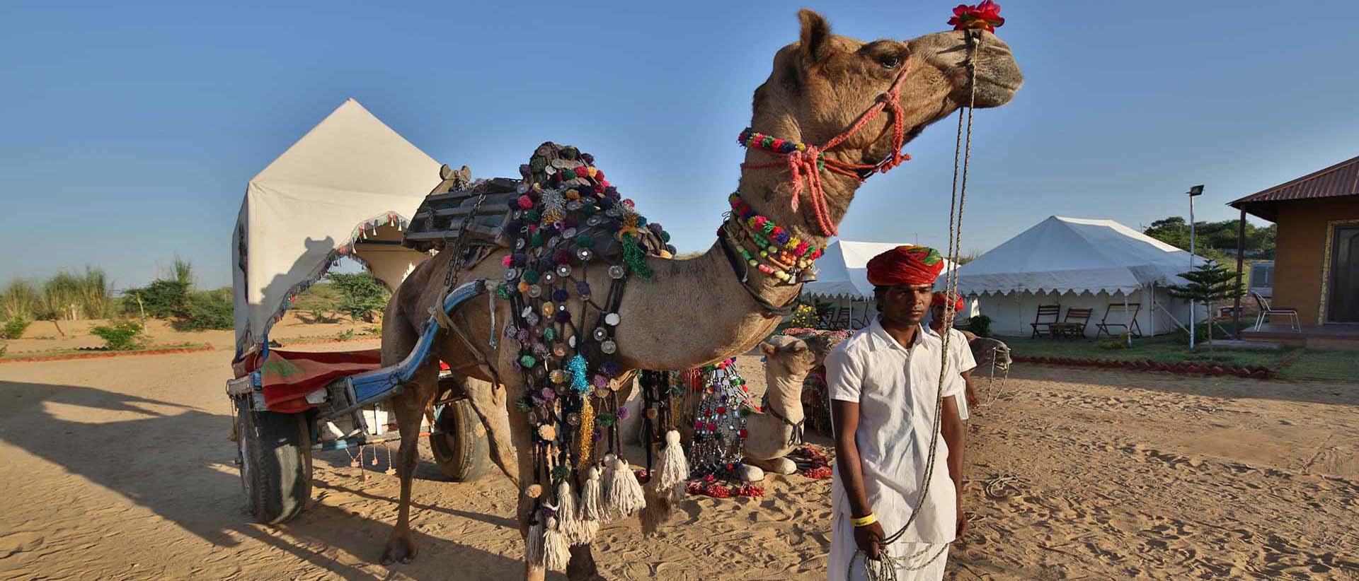 camp pushkar,desert camp,tent pushkar,fair accomodation, adventure pushkar safari, camel safari