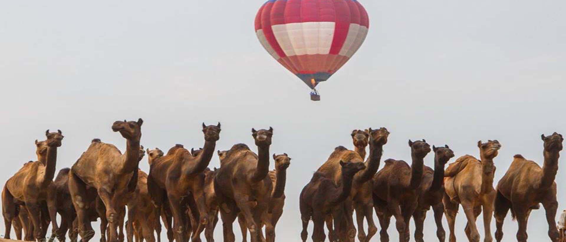 camp pushkar,desert camp,tent pushkar,fair accomodation