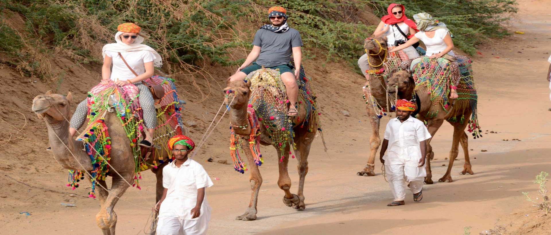 camp pushkar,desert camp,tent pushkar,fair accomodation, adventure pushkar safari, camel safari