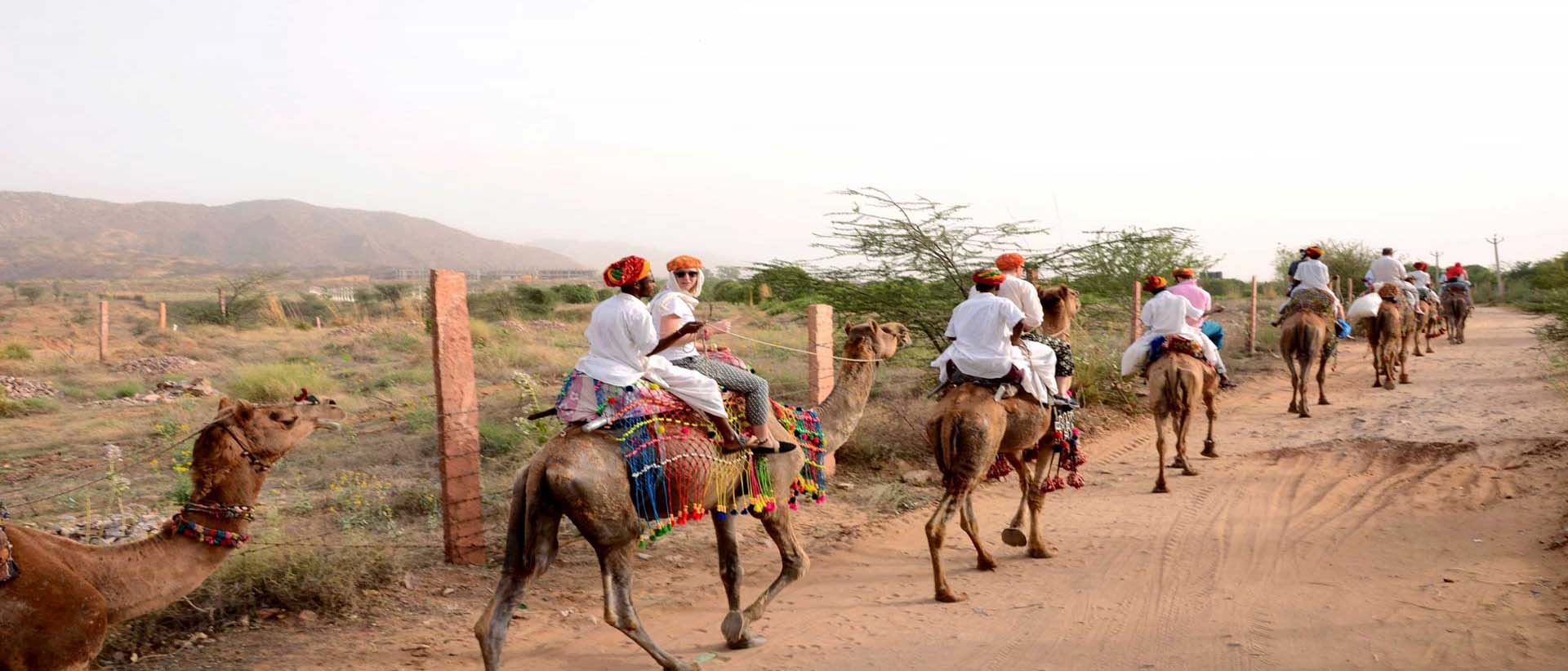 camp pushkar,desert camp,tent pushkar,fair accomodation, adventure pushkar safari, camel safari